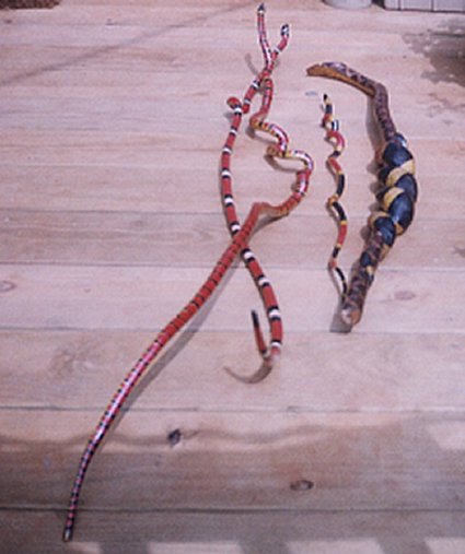 Claifornia King, Coral snake, Walking cane with Rattlesnake, & King snake